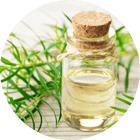 Tea Tree Oil