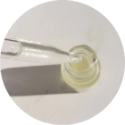 Bacillus Ferment